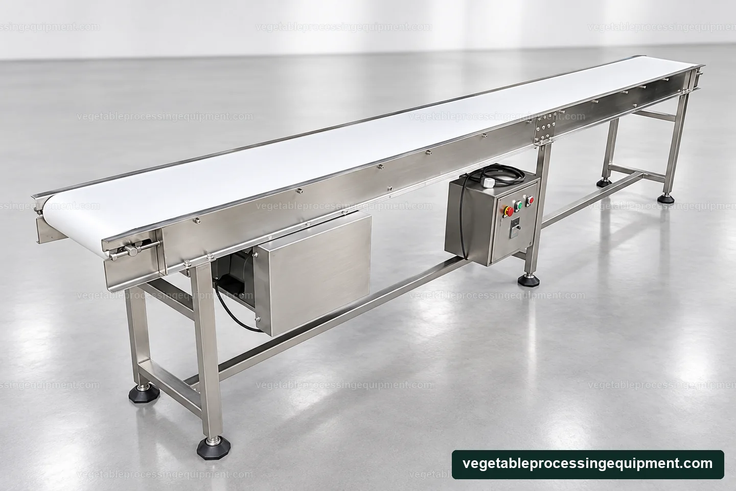 Vegetable Belt Conveyor equipment presentation